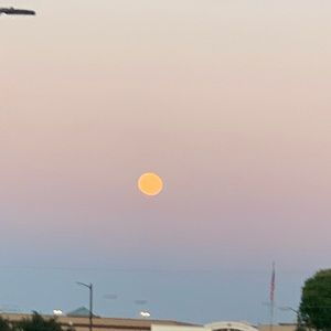 Meet your Posher, Caitlin